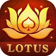 teen patti mata download